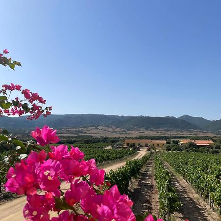 Agriturismo Campesi Casale Tra Le Vigne Aglientu Buitenkant foto
