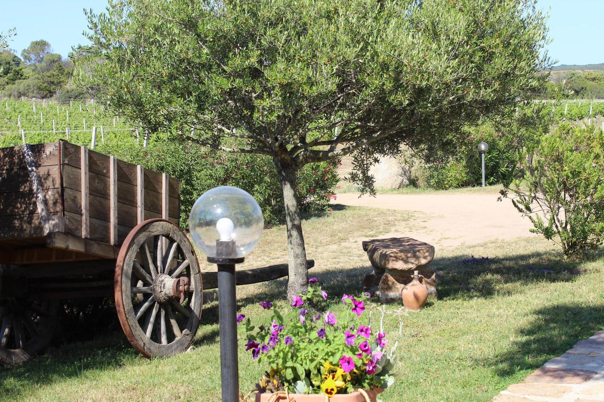 Agriturismo Campesi Casale Tra Le Vigne Aglientu Buitenkant foto