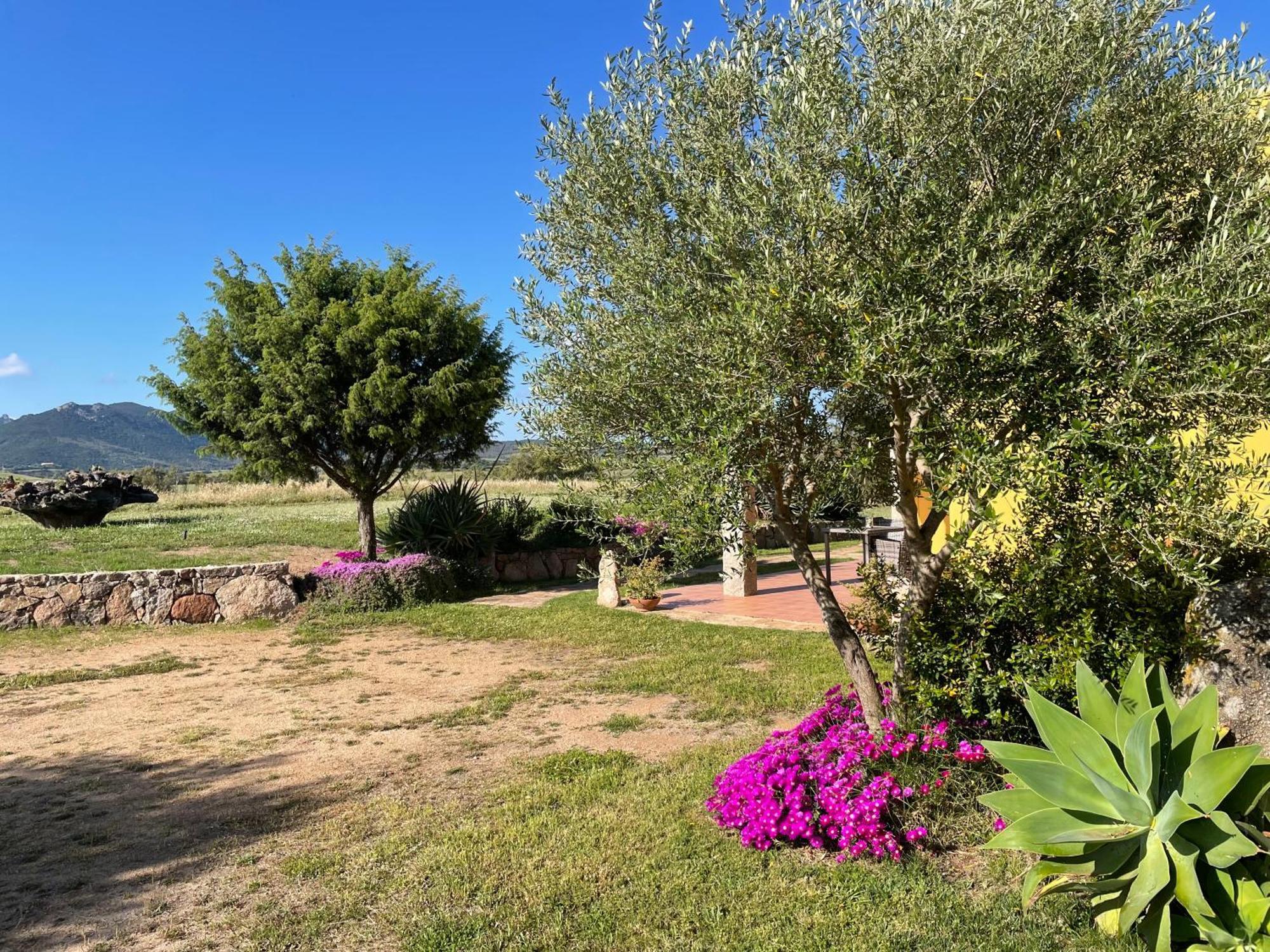 Agriturismo Campesi Casale Tra Le Vigne Aglientu Buitenkant foto