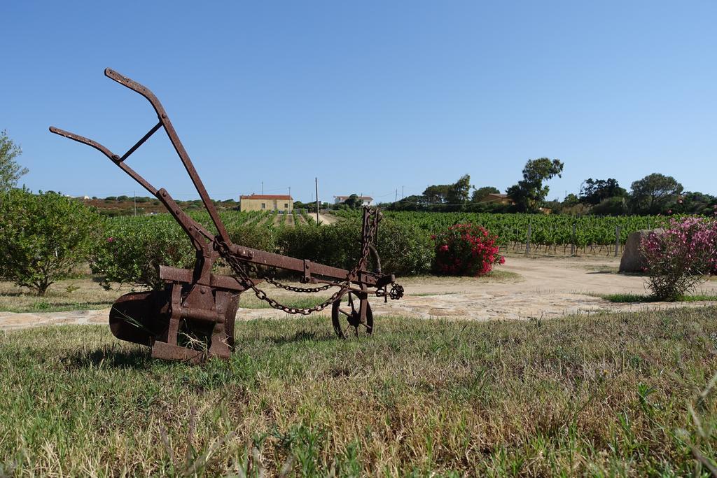 Agriturismo Campesi Casale Tra Le Vigne Aglientu Buitenkant foto