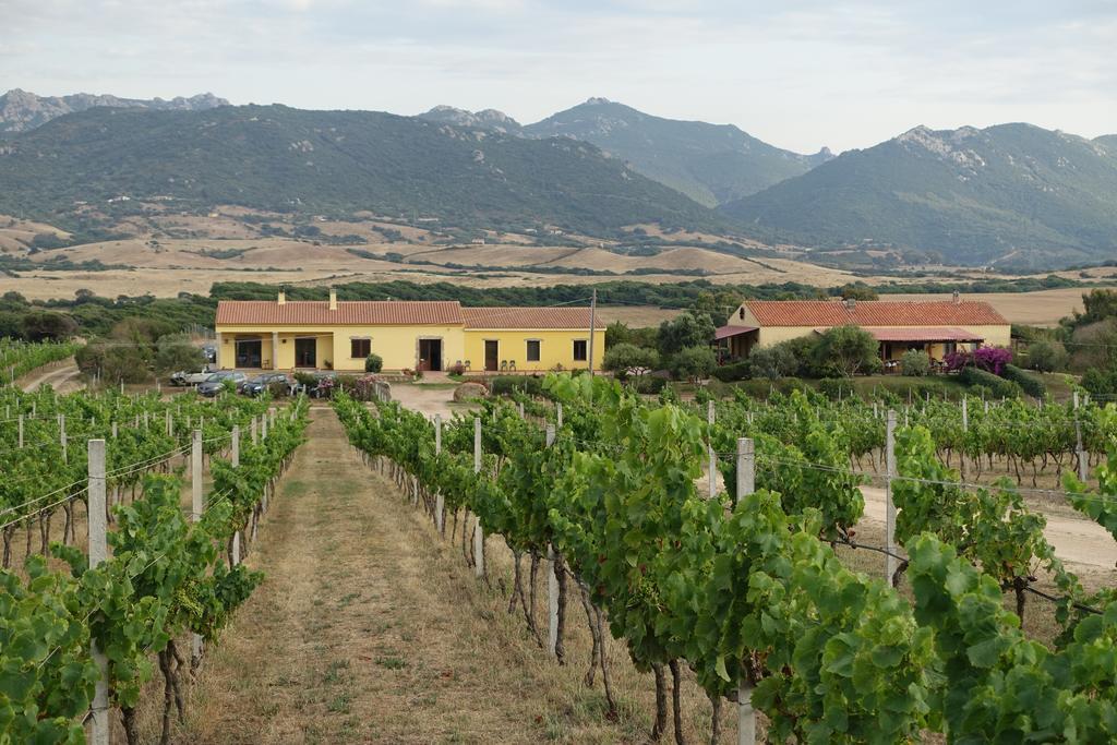 Agriturismo Campesi Casale Tra Le Vigne Aglientu Buitenkant foto