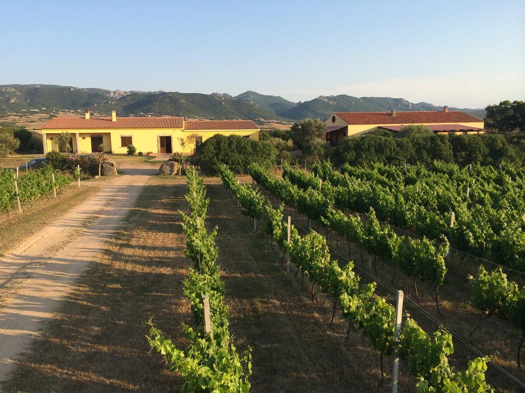 Agriturismo Campesi Casale Tra Le Vigne Aglientu Buitenkant foto