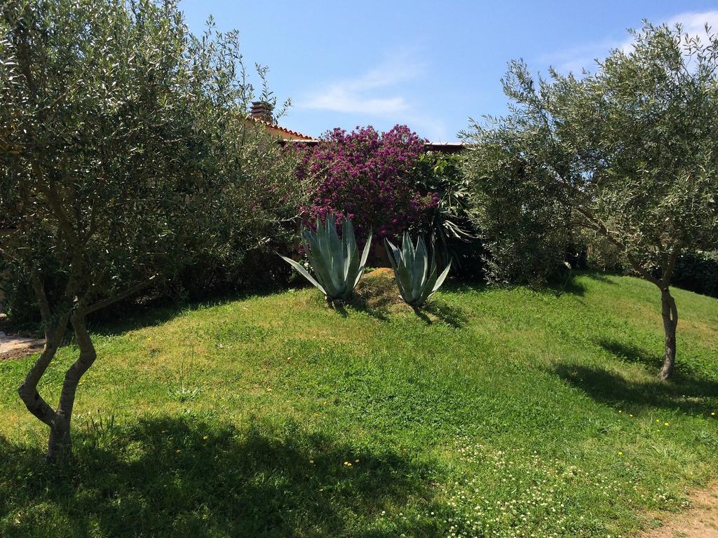 Agriturismo Campesi Casale Tra Le Vigne Aglientu Buitenkant foto