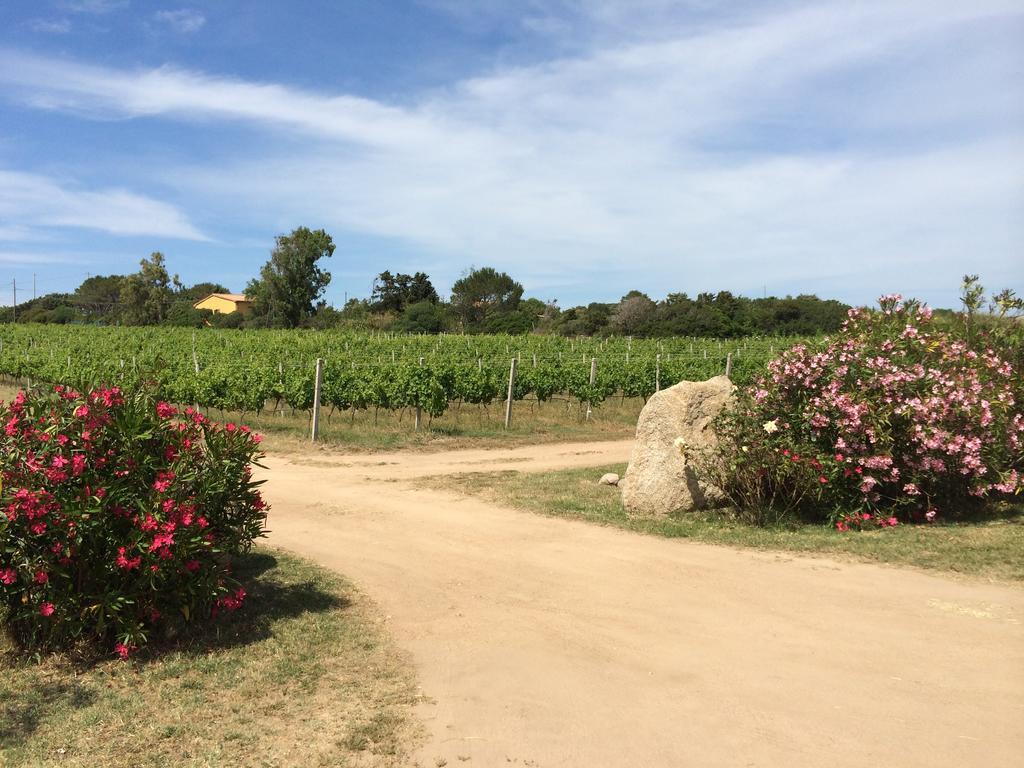Agriturismo Campesi Casale Tra Le Vigne Aglientu Buitenkant foto