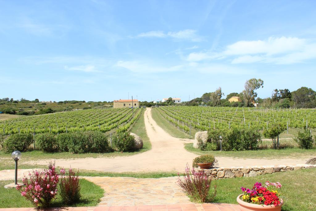 Agriturismo Campesi Casale Tra Le Vigne Aglientu Buitenkant foto