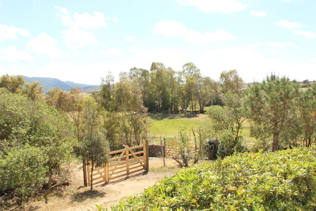 Agriturismo Campesi Casale Tra Le Vigne Aglientu Buitenkant foto