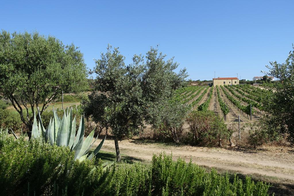 Agriturismo Campesi Casale Tra Le Vigne Aglientu Buitenkant foto