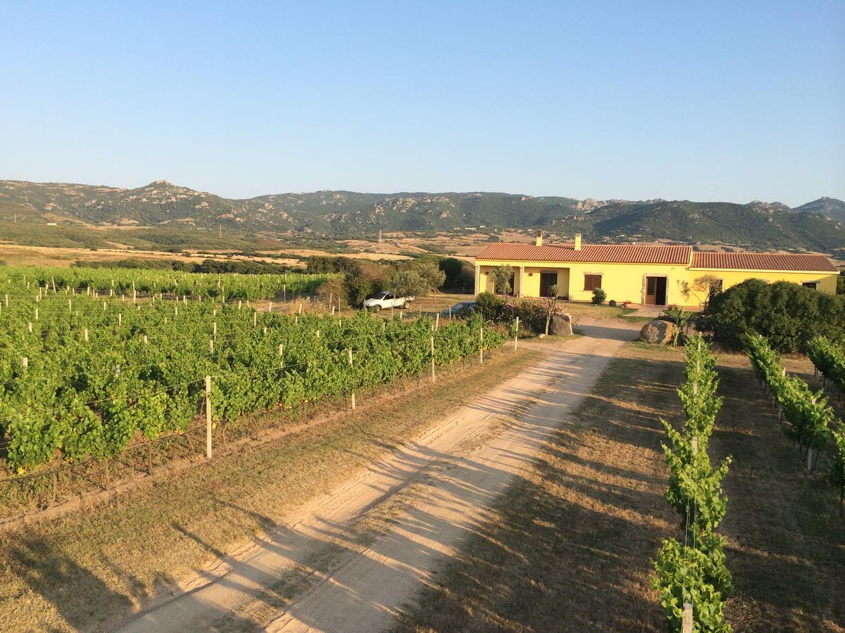 Agriturismo Campesi Casale Tra Le Vigne Aglientu Buitenkant foto