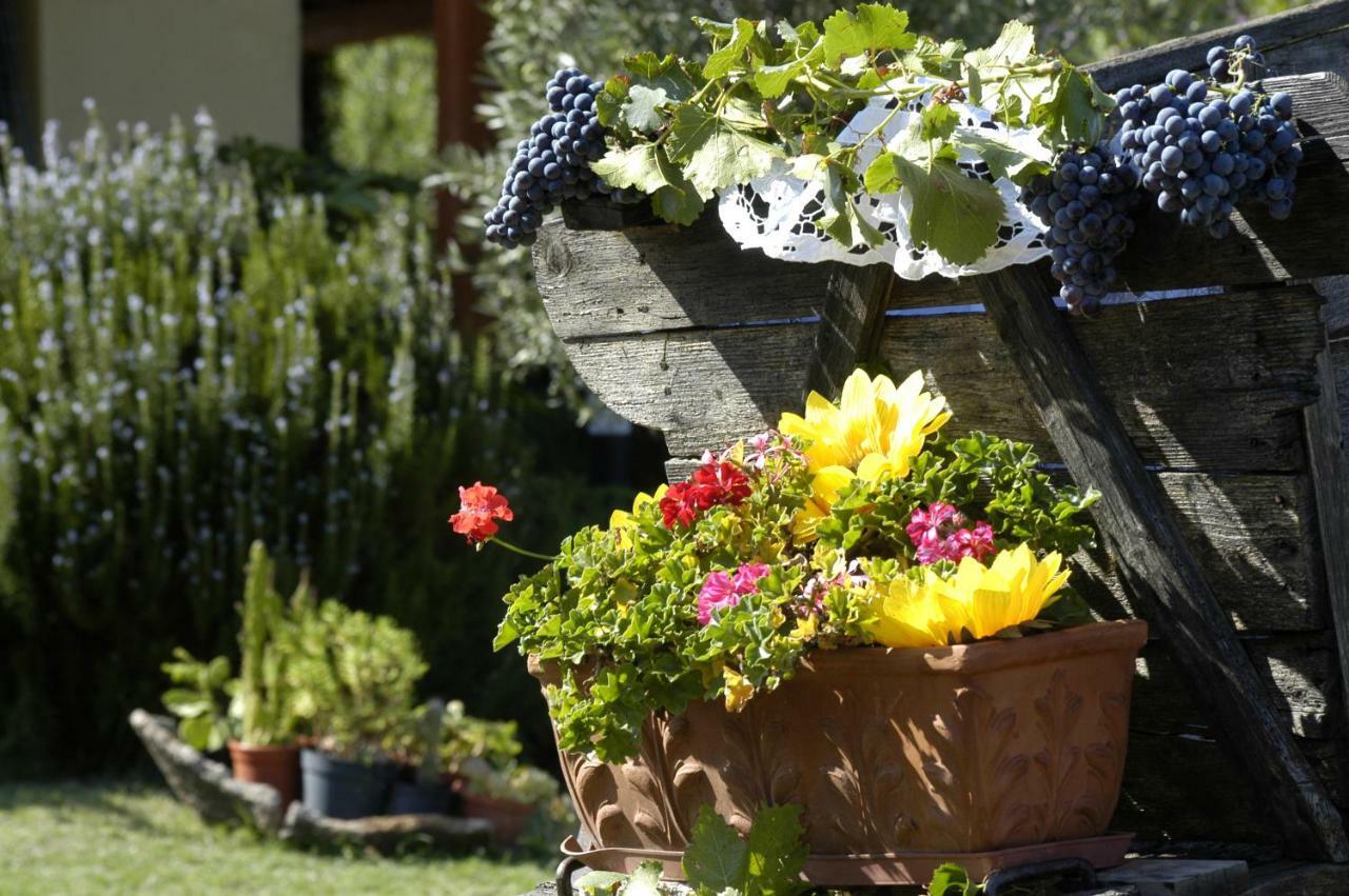 Agriturismo Campesi Casale Tra Le Vigne Aglientu Buitenkant foto