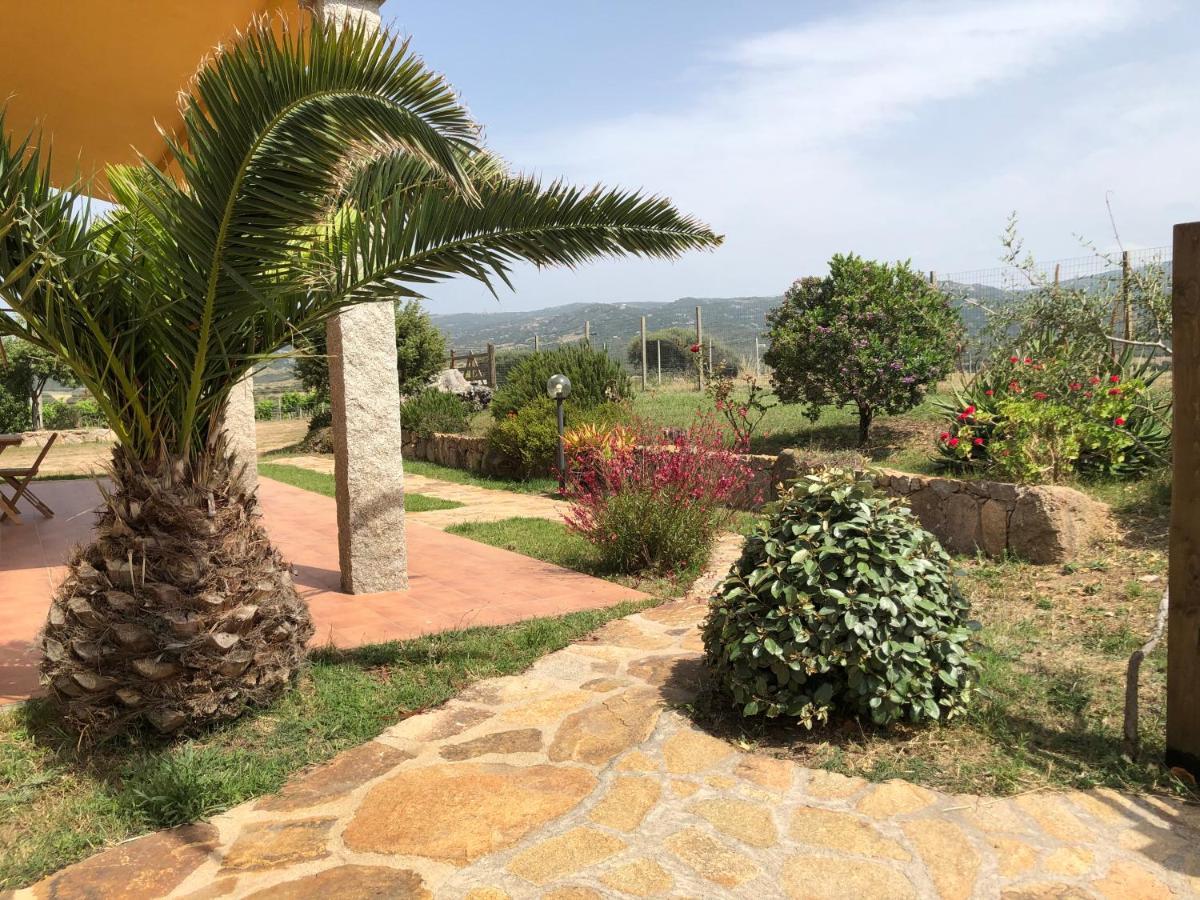 Agriturismo Campesi Casale Tra Le Vigne Aglientu Buitenkant foto