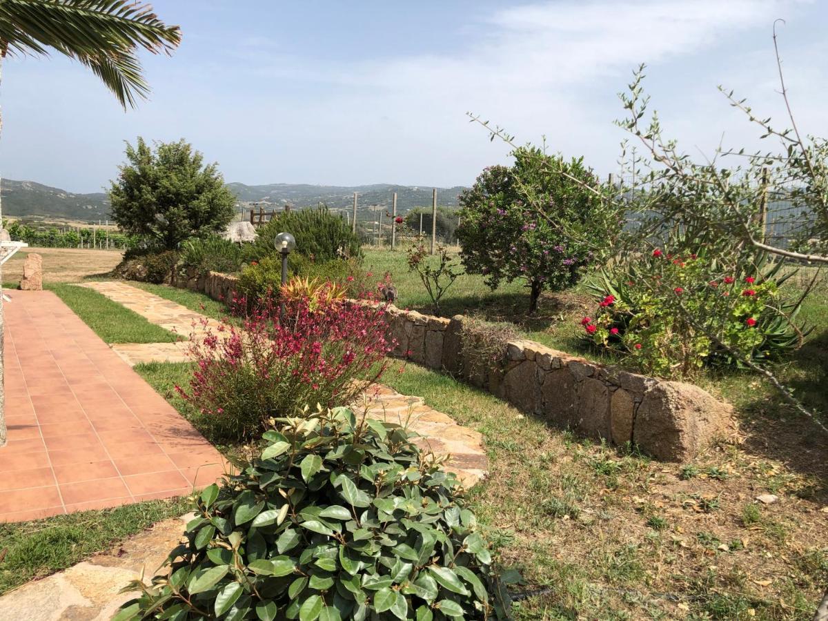 Agriturismo Campesi Casale Tra Le Vigne Aglientu Buitenkant foto